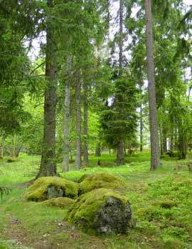 Häringe-Hammersta naturreservat