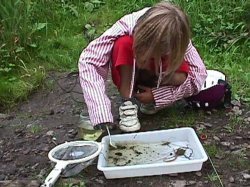 Nature - The Best Classroom in the World