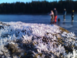 Natur och kultur i december