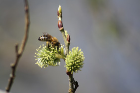 Upptäck er närmiljö i april