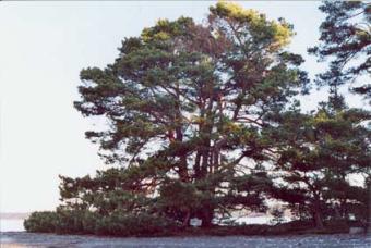 Naturreservat i Nynäshamn