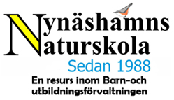www.nynashamnsnaturskola.se