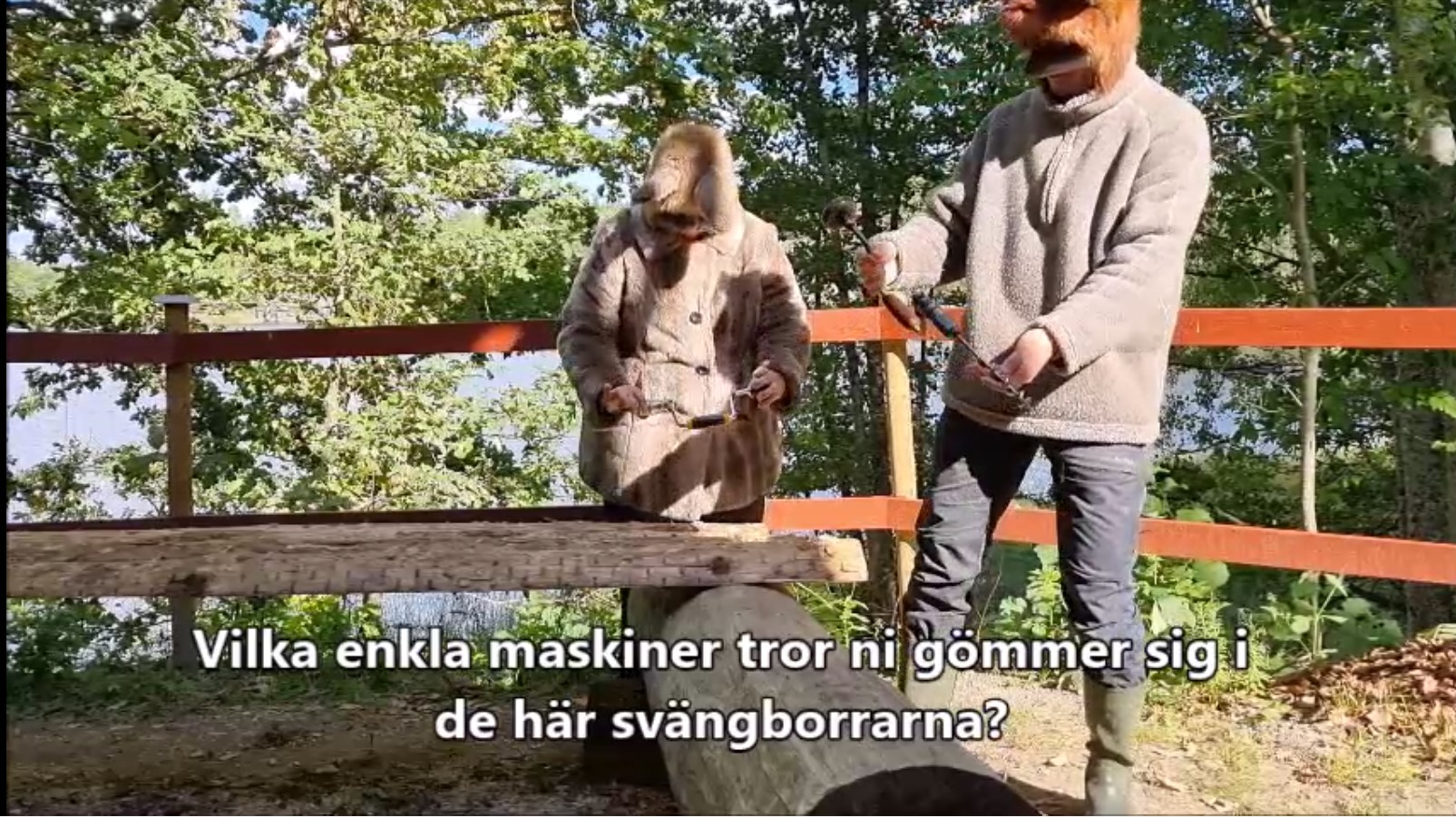 Räven och Haren förklarar enkla maskiner