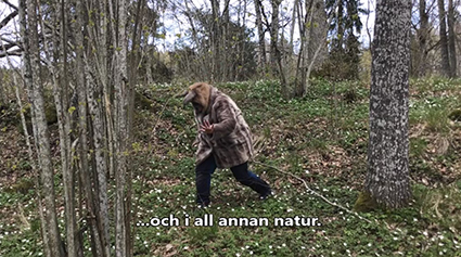 Räven och Haren i skyddad natur